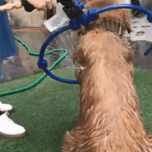 360° Pet Dog Bathing Shower Sprayer