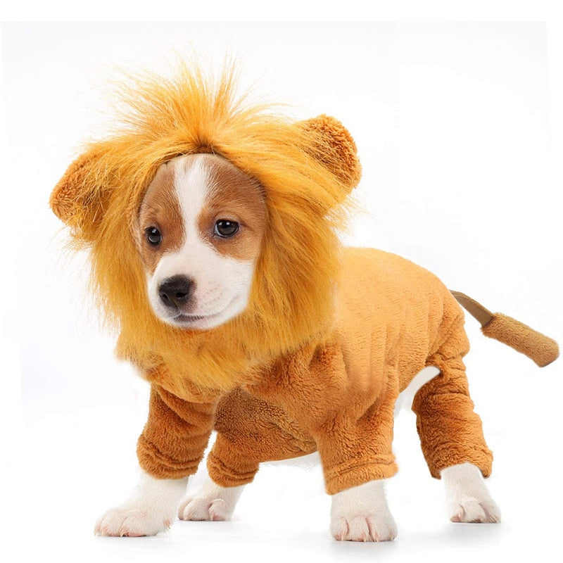 Cozy Lion Dog Hoodie Cosplay Costume