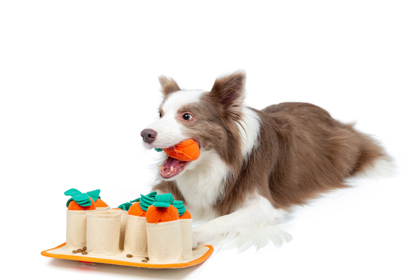 Carrot Pet Dog Snuffle Mat