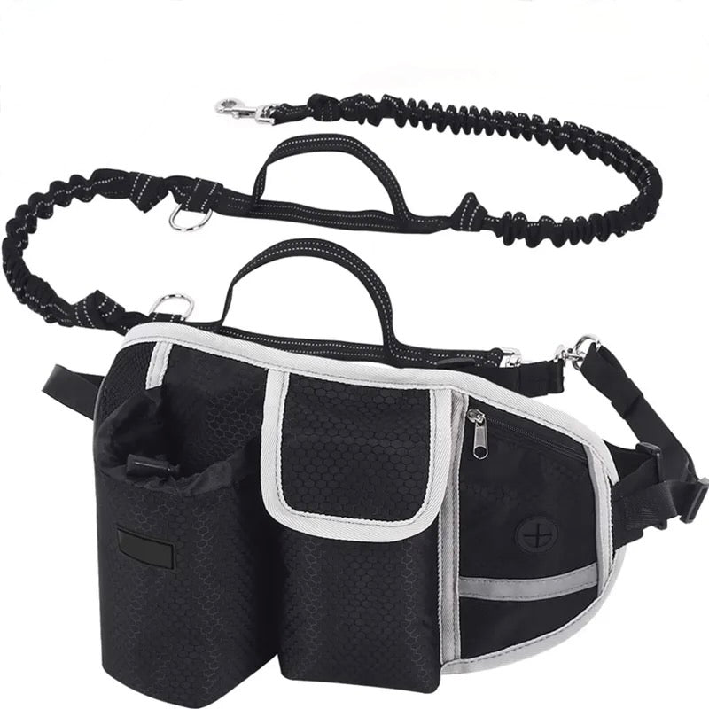 Bungees Reflective 2 Handles Dog Leash