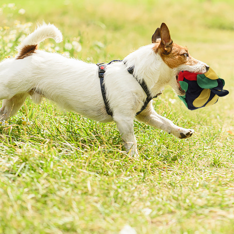 Interactive Dog Snuffle Ball Toy