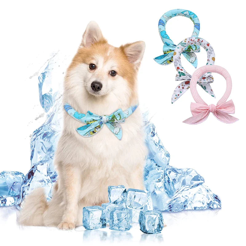 3 Pack Dog Cooling Collar