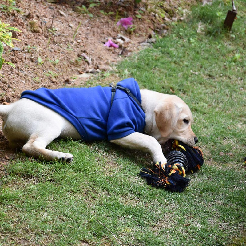 Durable Dog Tug Of War Toy