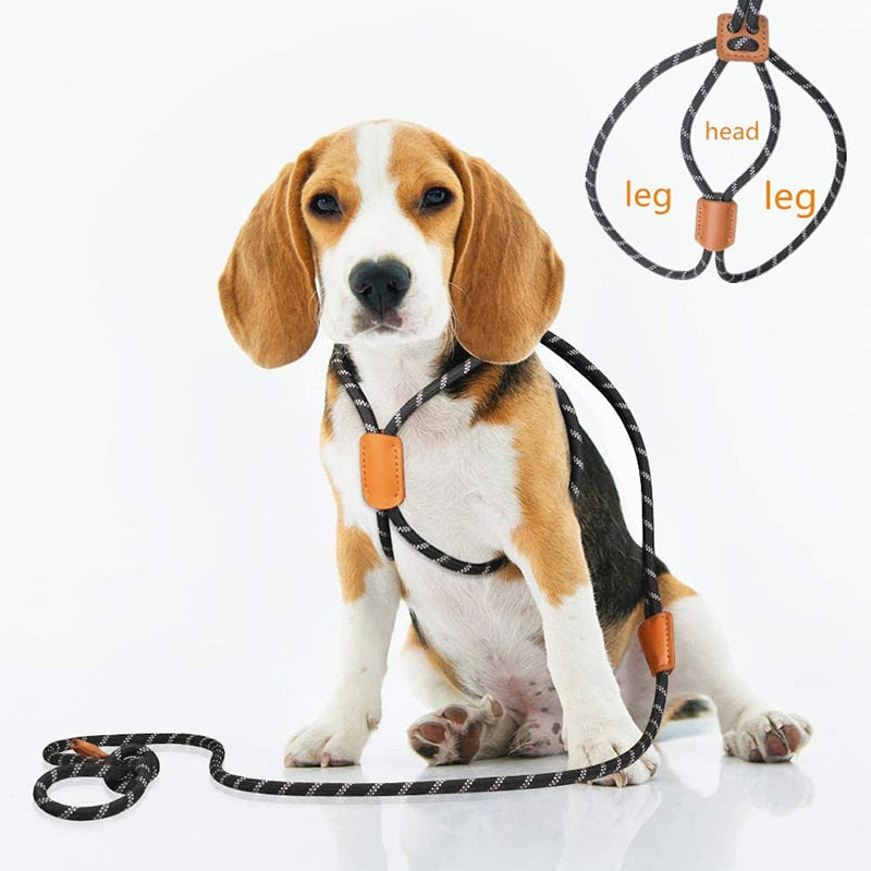 3 in 1 Dog Harness And Leash