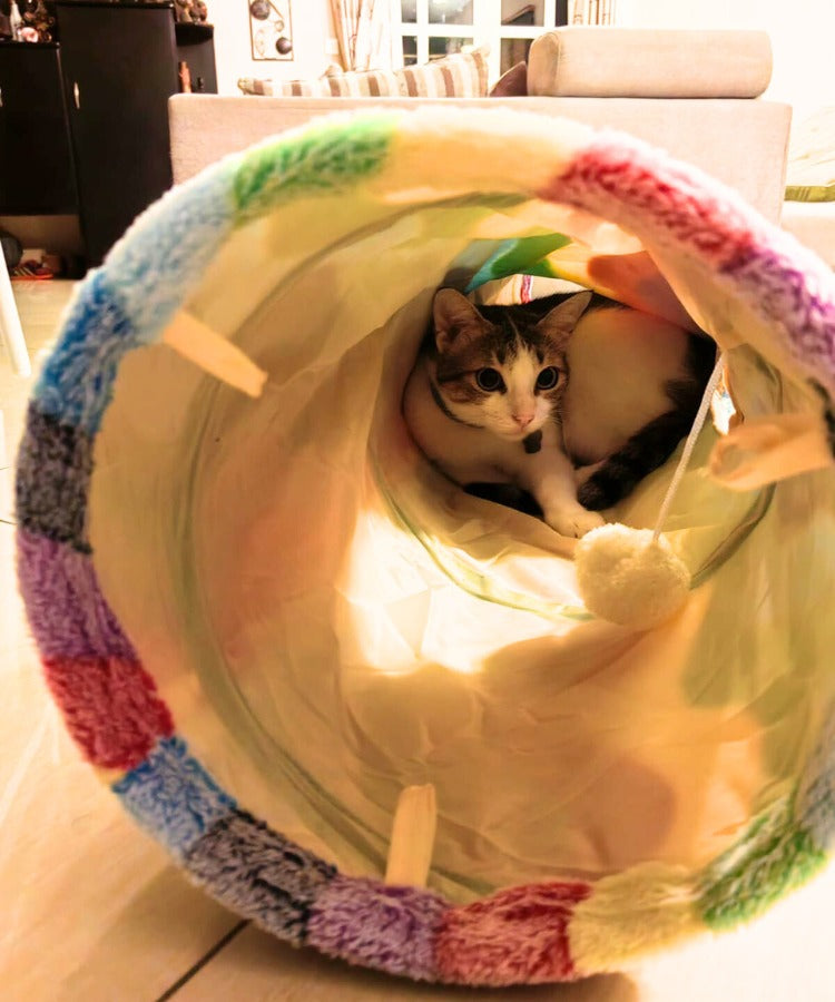 Foldable Rainbow Cat Tunnel