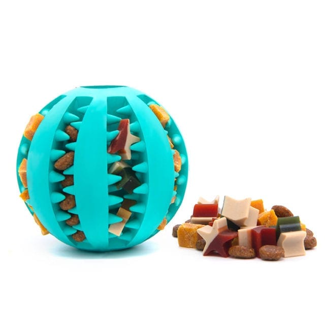 Interactive Chewy Ultra Fun Dog Ball