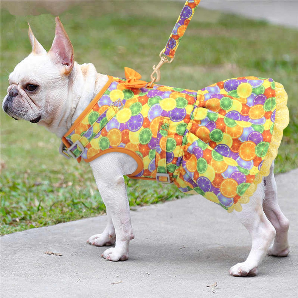 Cute Printed Dog Harness And Leash