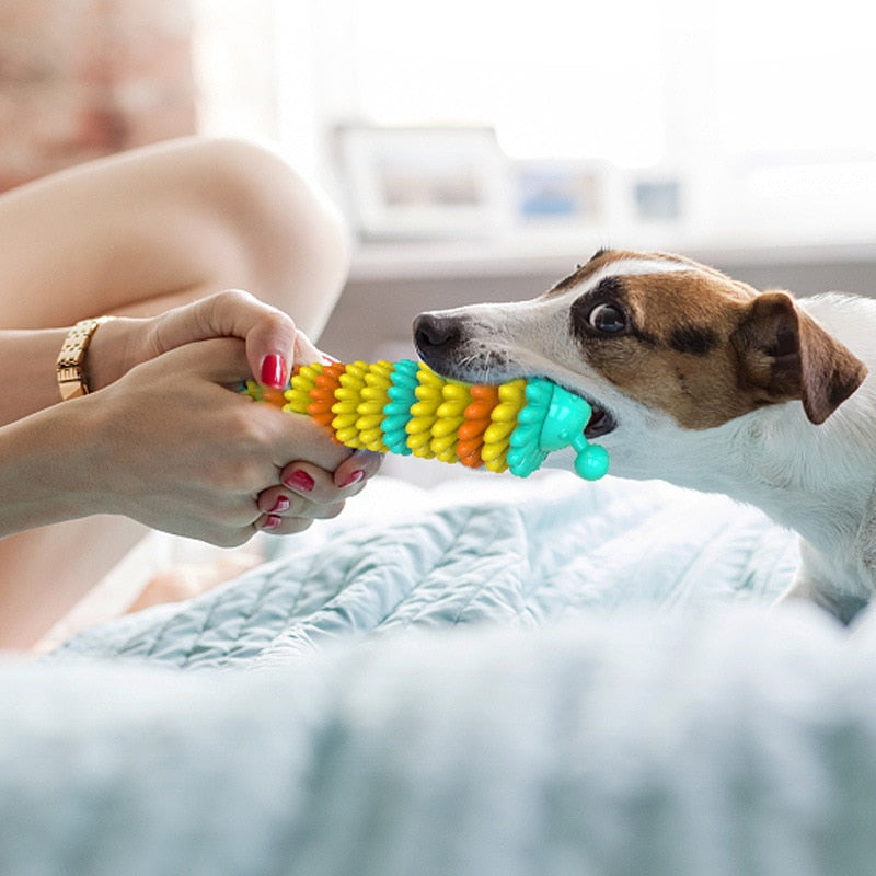 Interactive Indestructible Dog Chew Toy