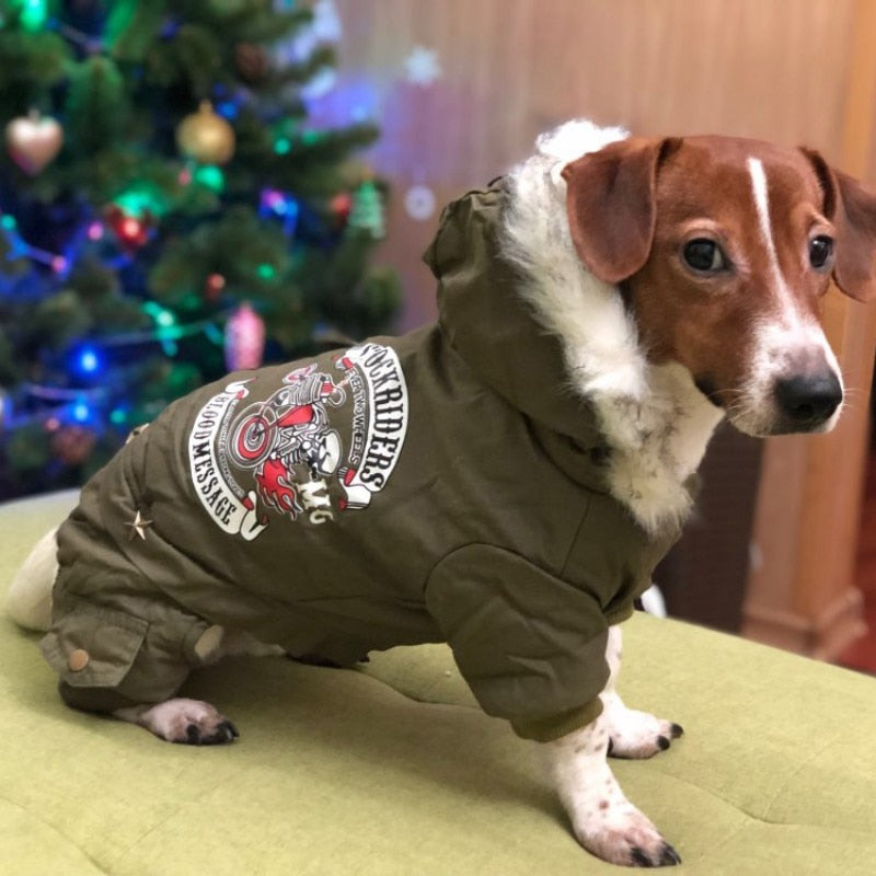 Fashion Autumn Dog Jumpsuit
