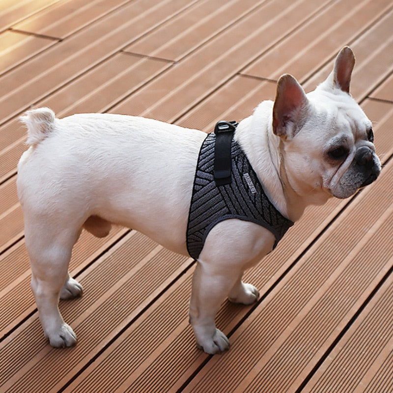 Adjustable Vest Walking Soft Harness