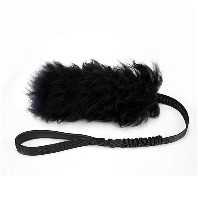 Interactive Bungee Dog Rope Toy