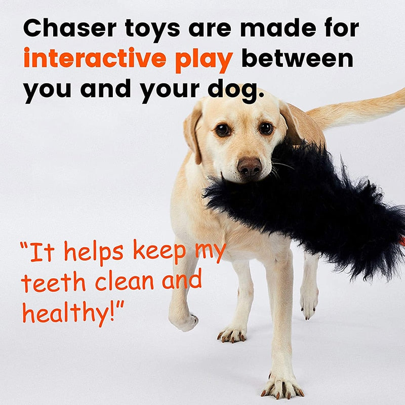 Interactive Bungee Dog Rope Toy