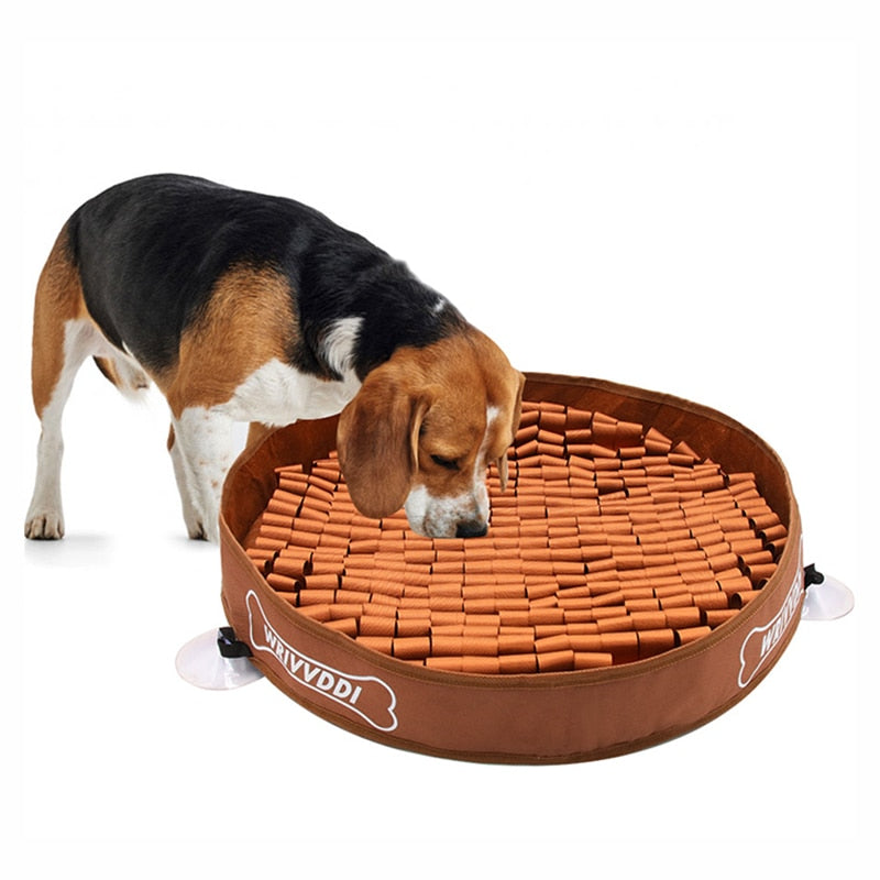 Interactive Dog Puzzle Snuffle Mat