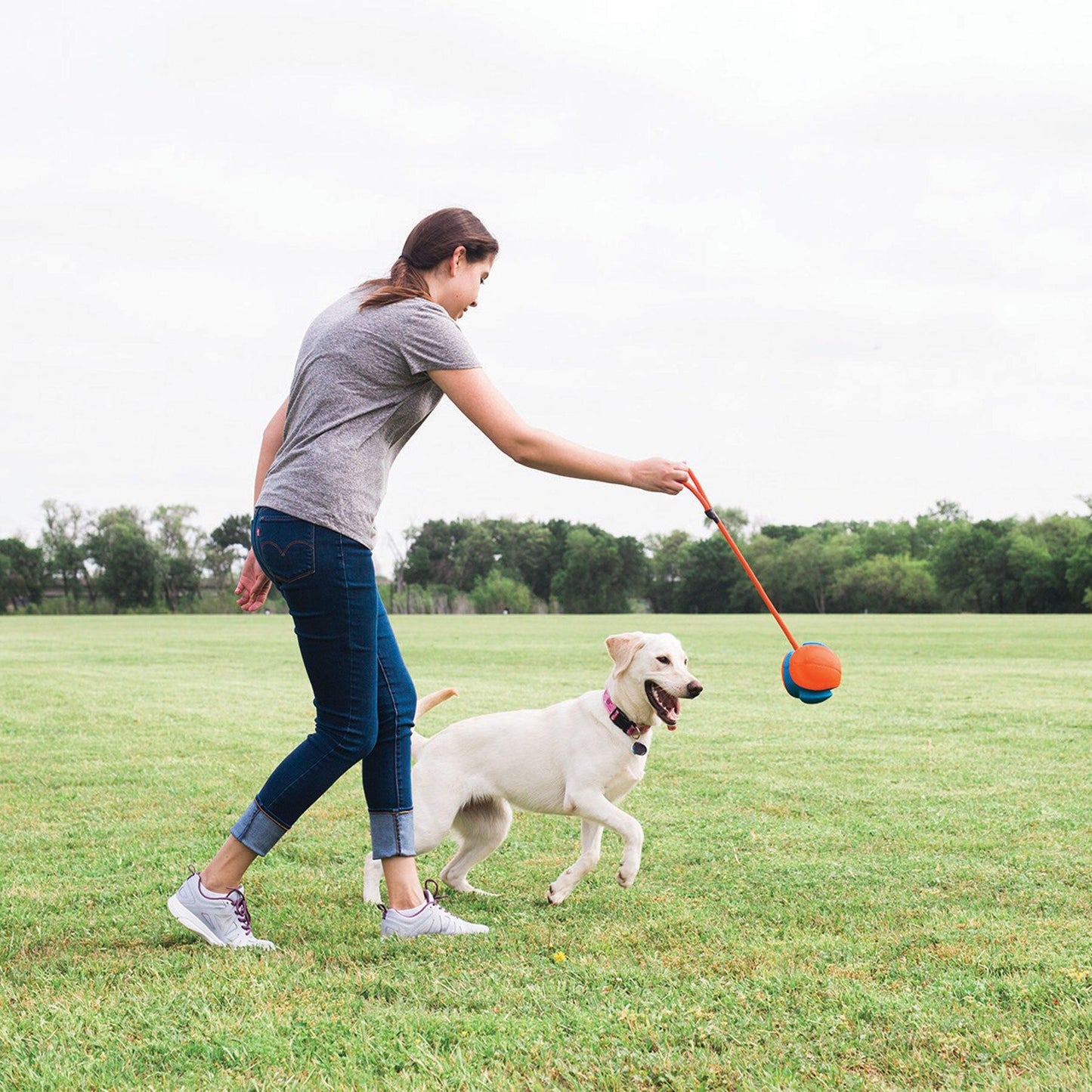 Interactive Outdoor Rope Ball Dog Toy