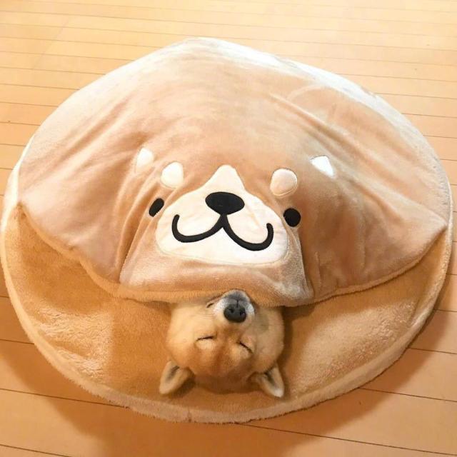 Four Seasons Cute Dorayaki Pet Bed