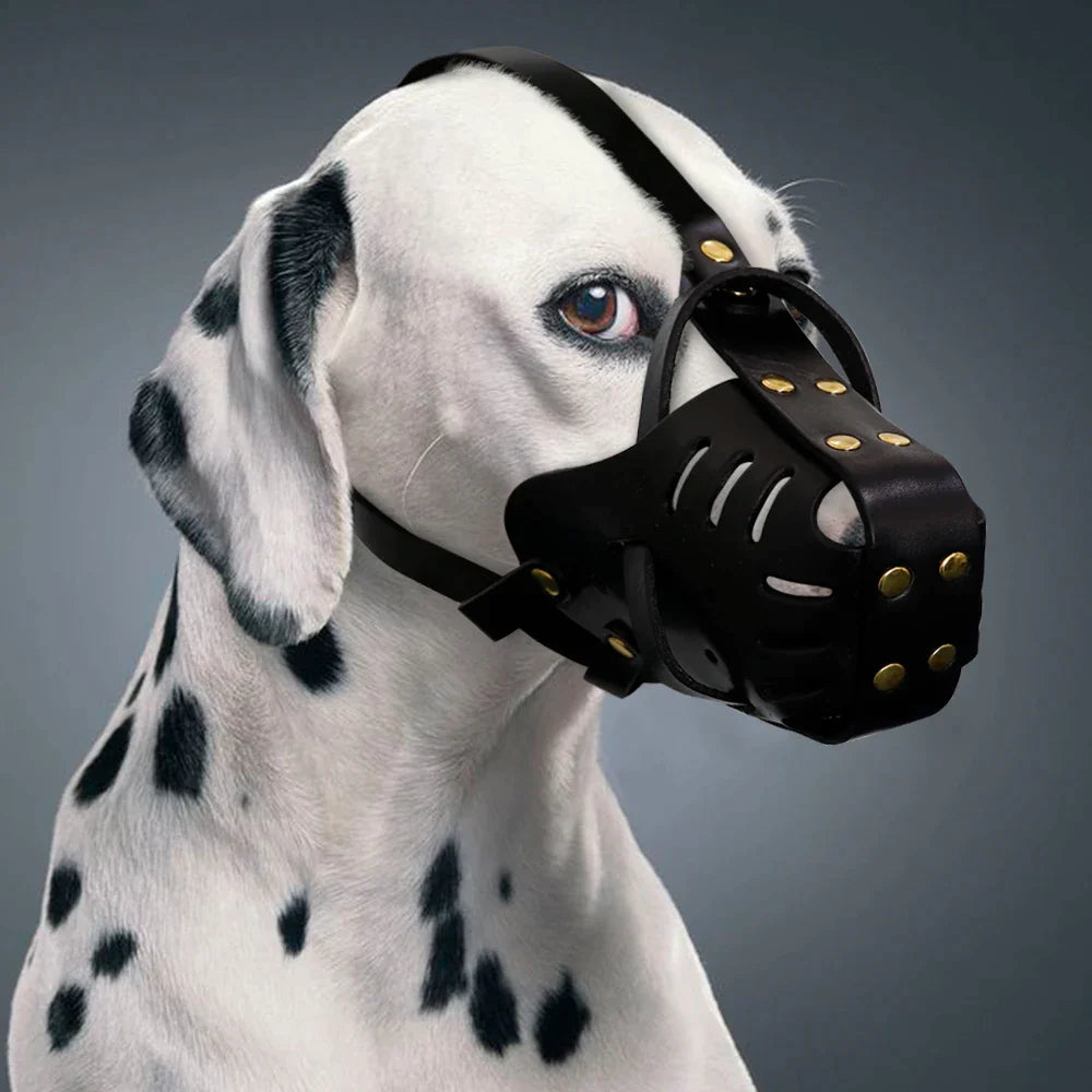 Real Leather Dog Muzzle