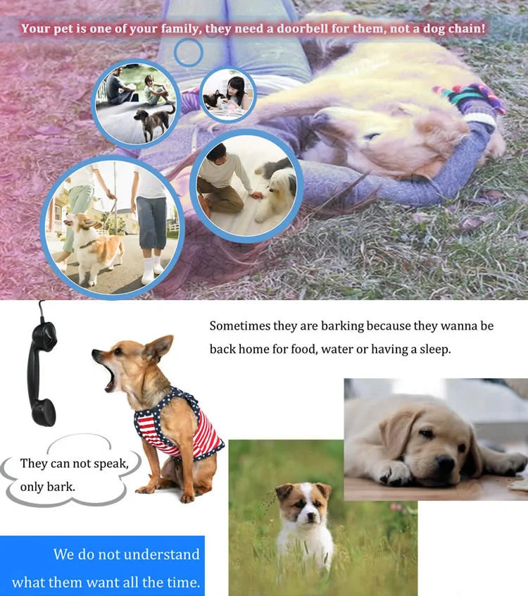Pet Music Chime Doorbell