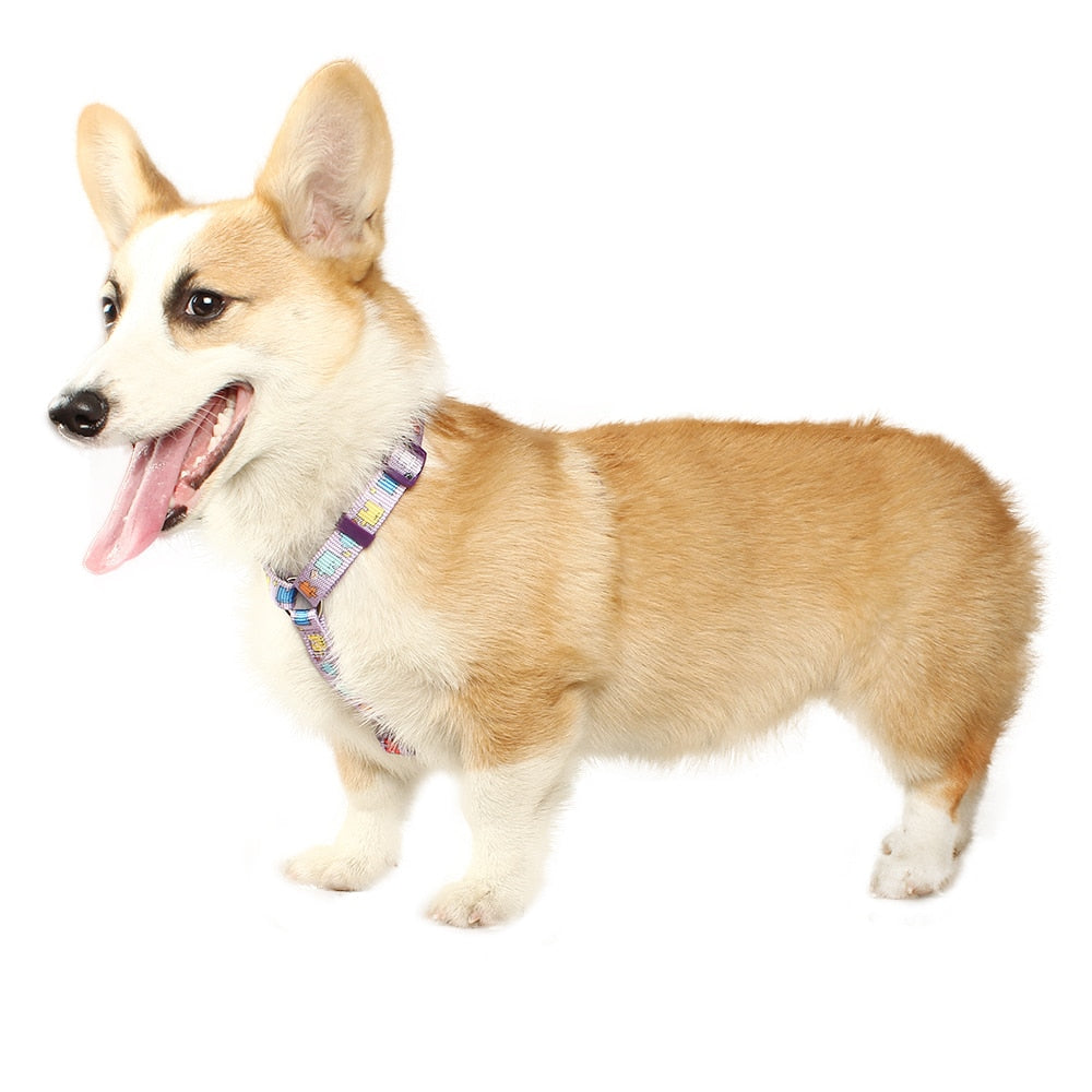 Fashion Dog No Pull Harness Vest