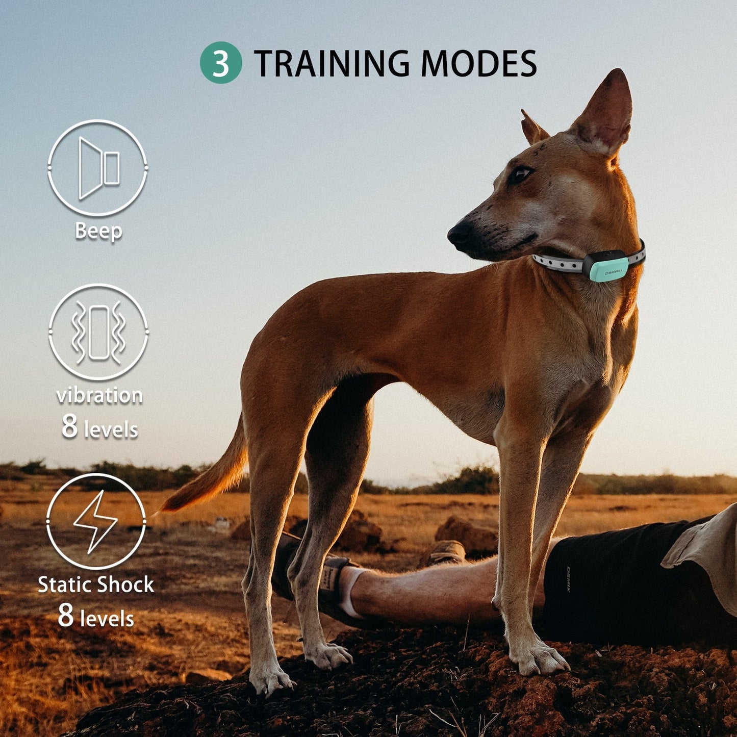 800M Remote Control Dog Training Collar