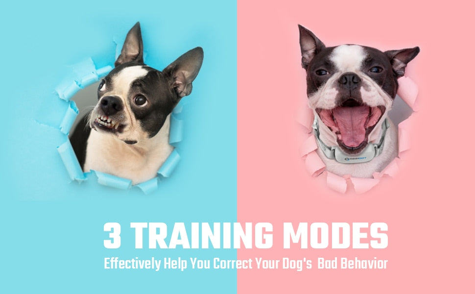 1500ft Canine Training Shock Collars