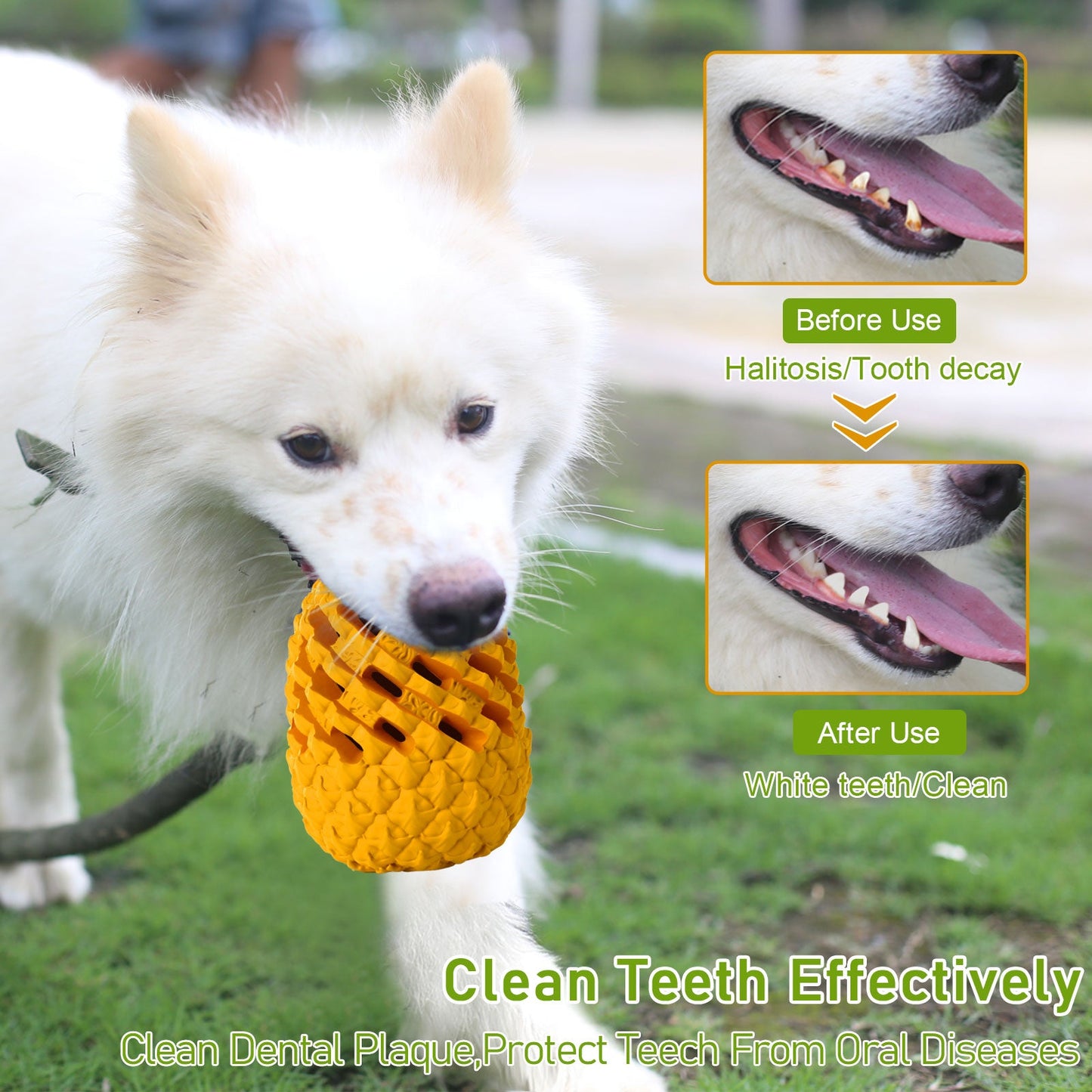 Indestructible Pineapple Dog Chew Toy