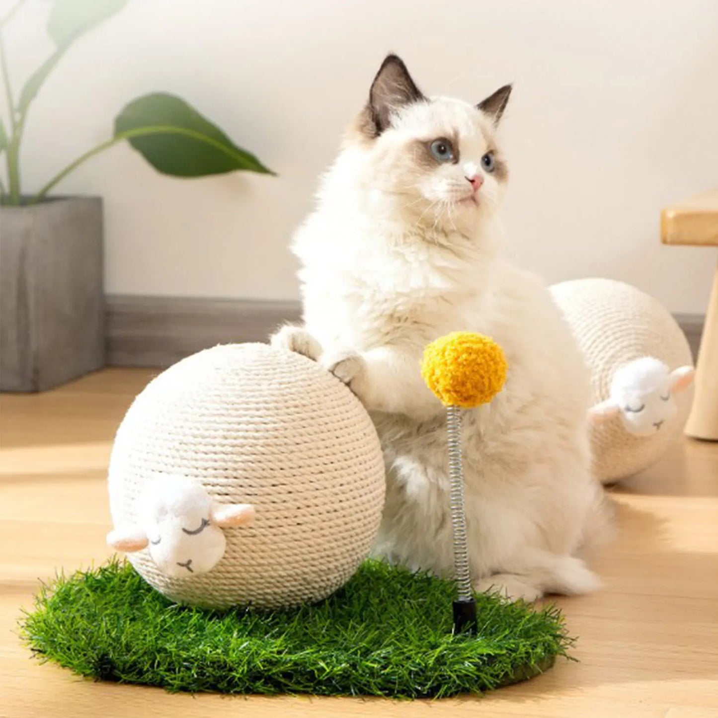 Cute Sheep Cat Scratcher Ball Toy
