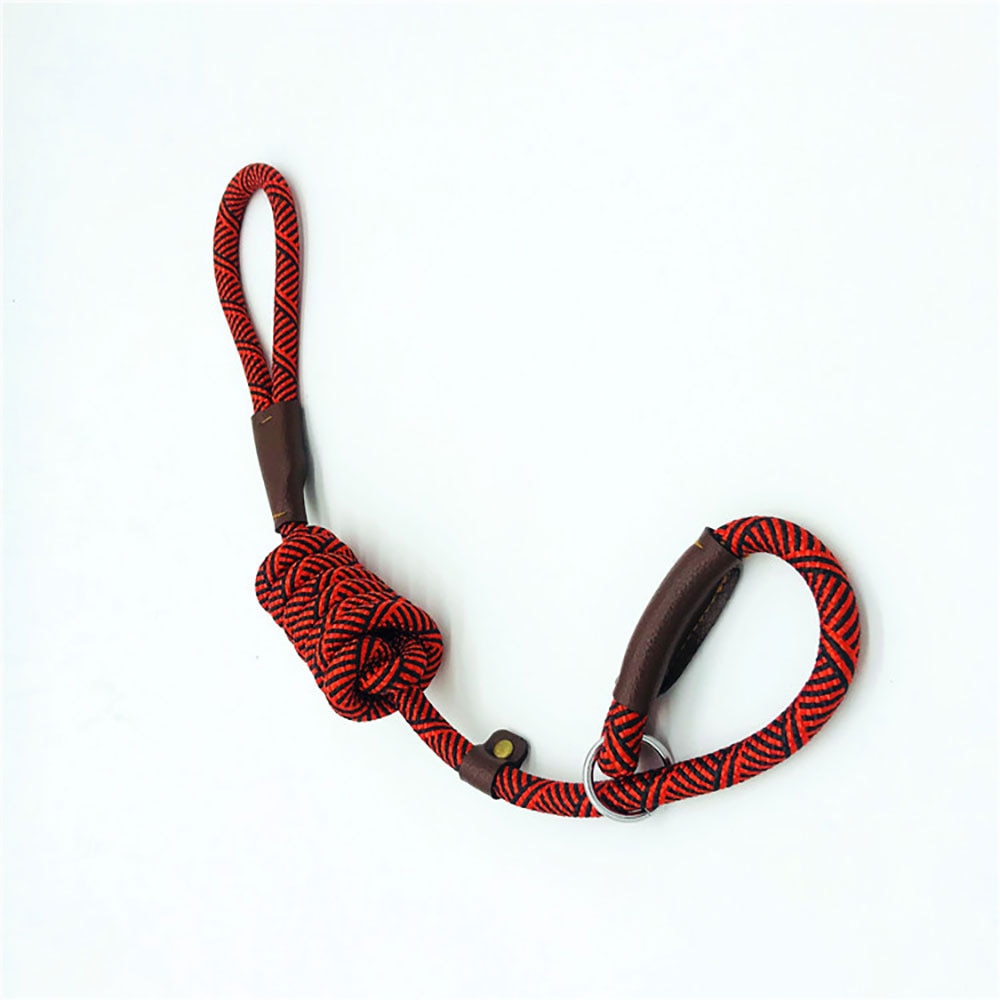 Durable Dog Slip Rope Leash