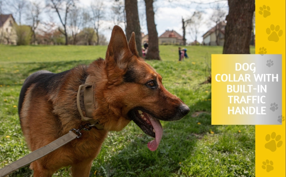 Extra Large Dogs Tactical Collar