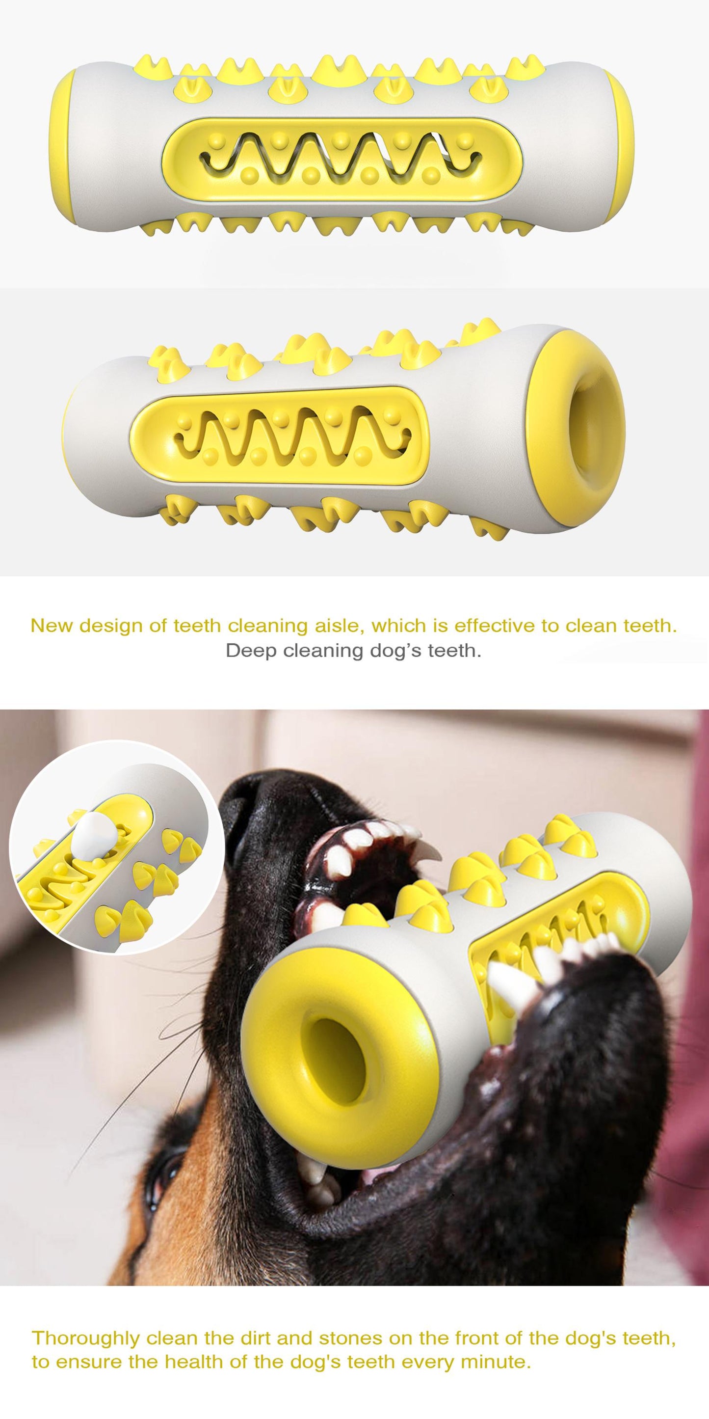 Jagged Molar Chewy Fun Toy