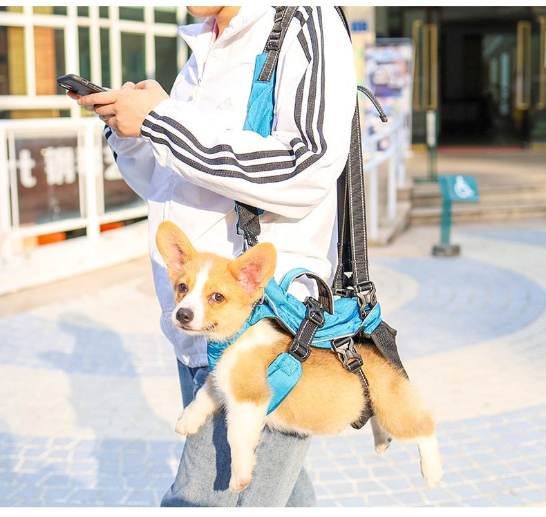 Multi Functional Dog Harness Carrier
