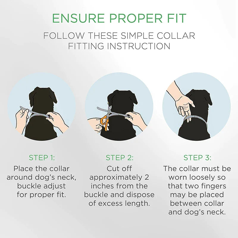 Hypoallergenic Safe Dog Flea & Tick Collar