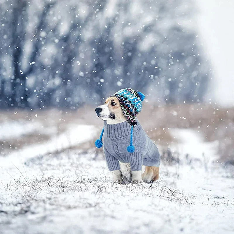 Classic Turtleneck Thick Warm Dog Sweater