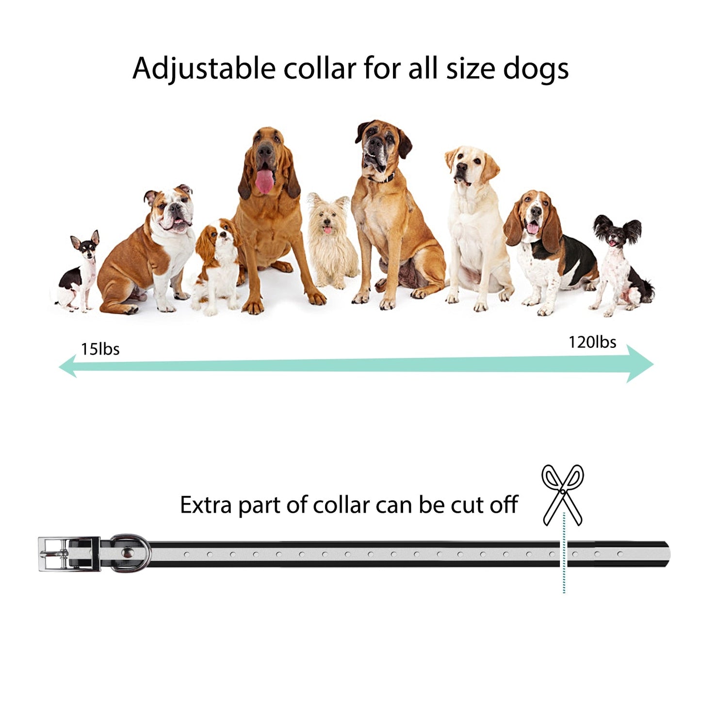800M Remote Control Dog Training Collar