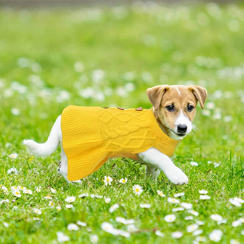 Small Dog Fashion Knit Dresses