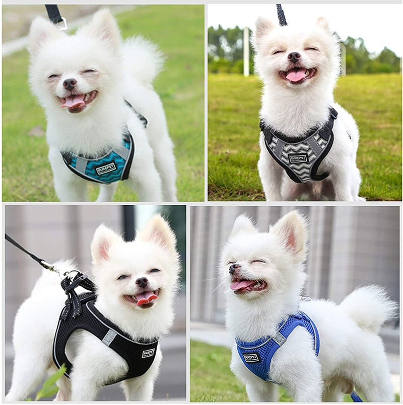 Durable No Pull Dog Harness & Leash