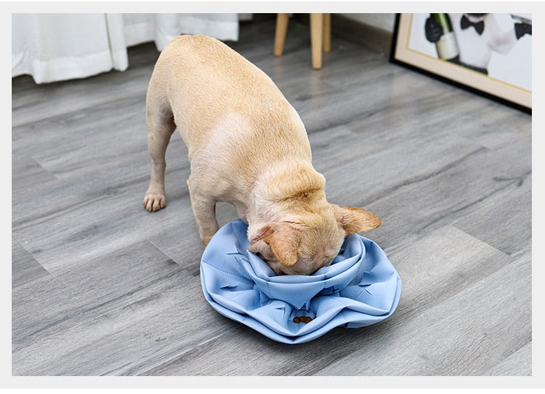 Dogs Intelligence IQ Snuffle Mat