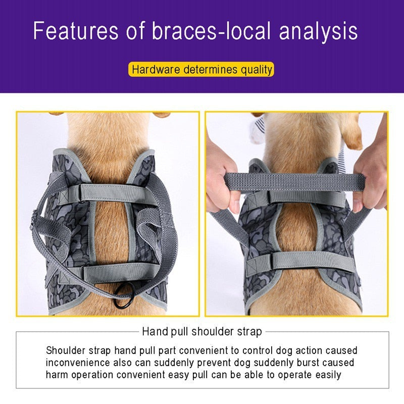 High Quality Explosion-Proof Pet Harness