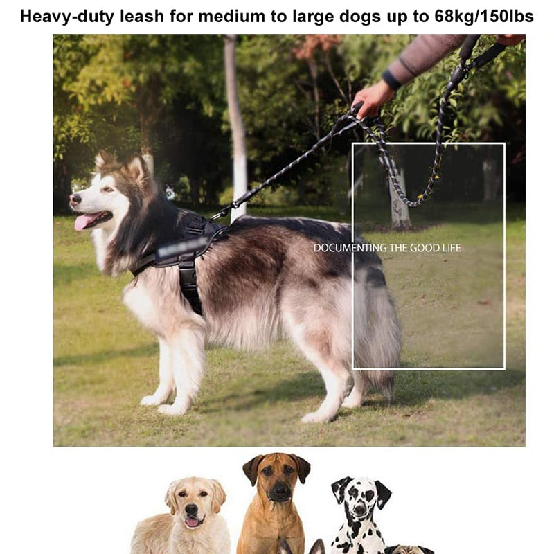 Heavy Duty 2 Padded Handles Dog Leash