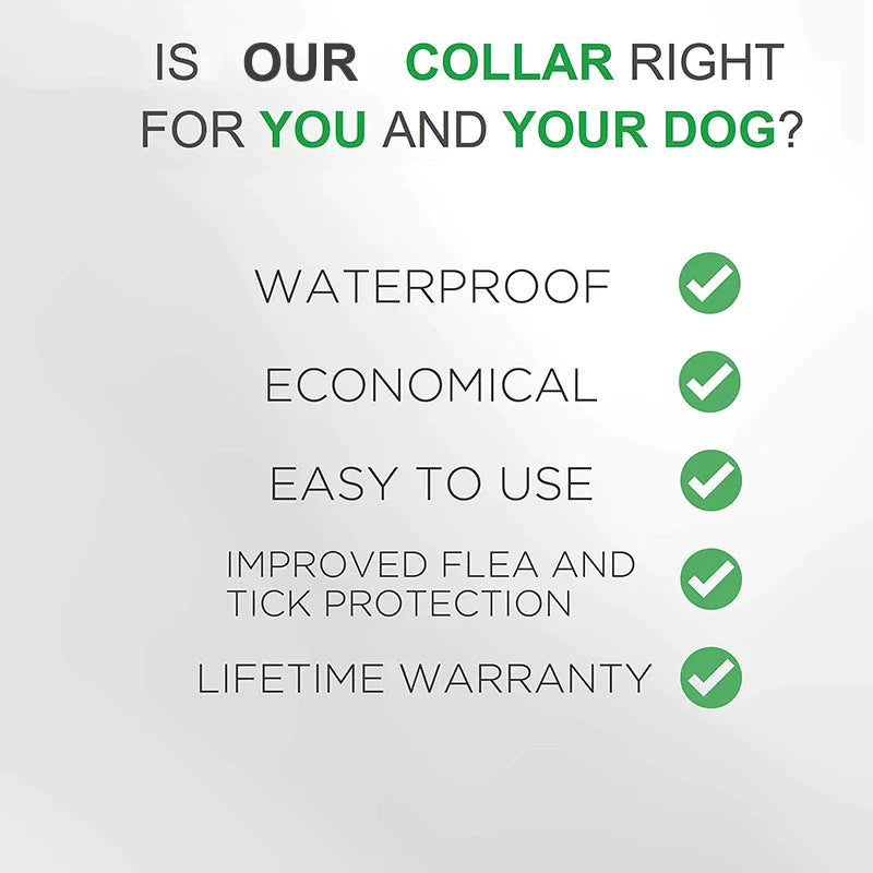 Hypoallergenic Safe Dog Flea & Tick Collar
