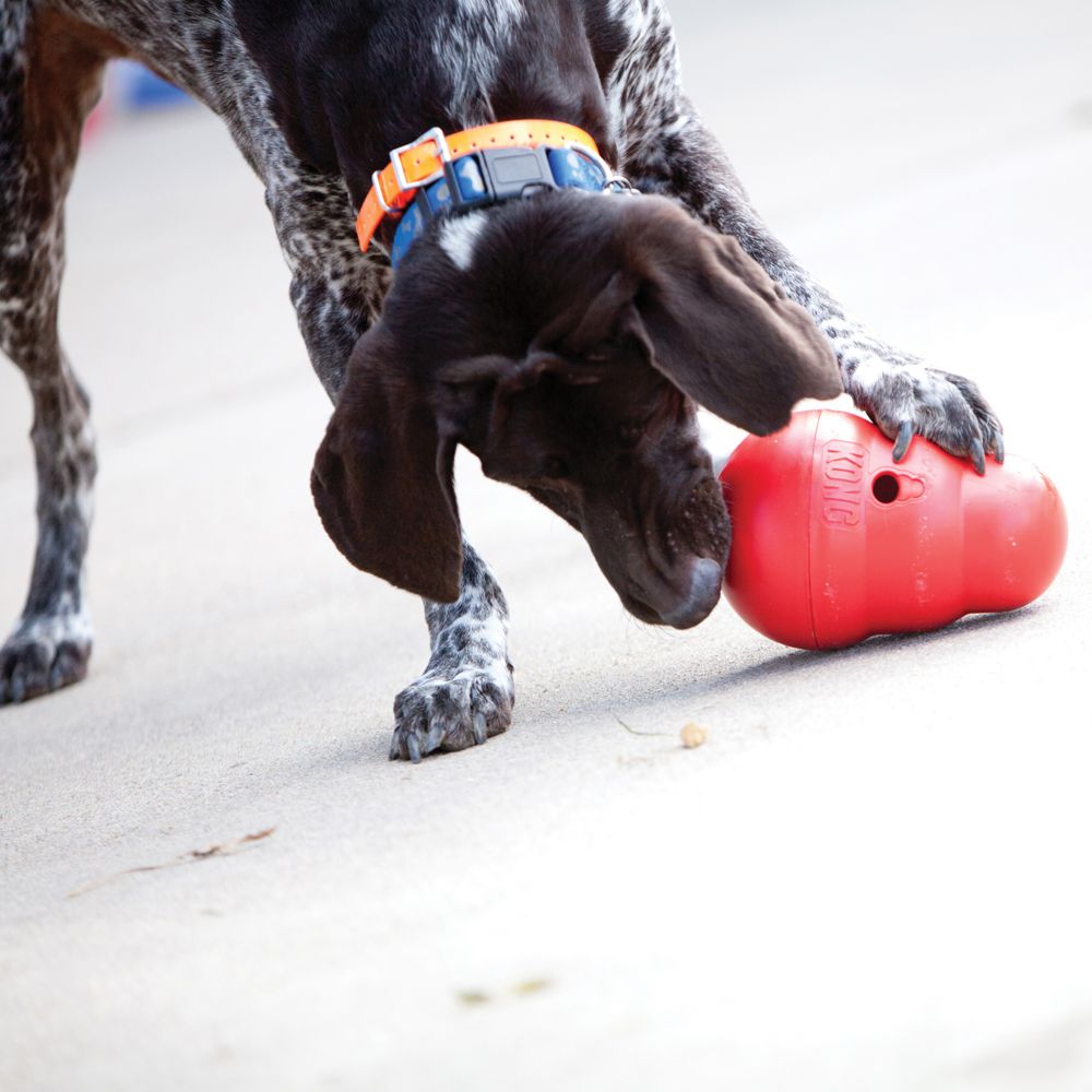 Large Wobbler Dog Toy