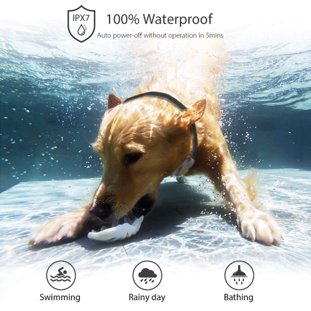 500m Rechargeable Dog Training Collar