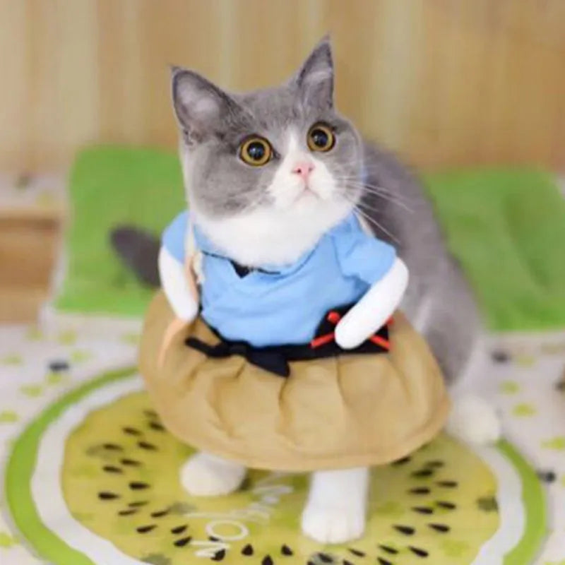 Funny Samurai Pet Halloween Costume