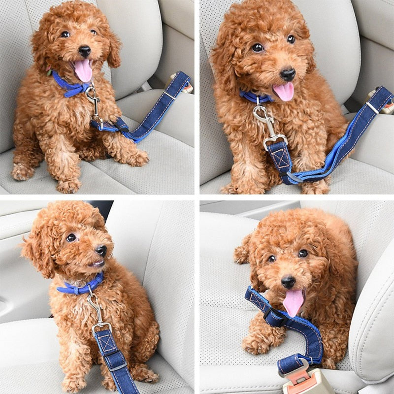 Denim Pet Dog Car Seat Belt