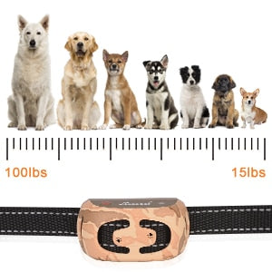 800m Electric 2 In 1 Dog Training Collar