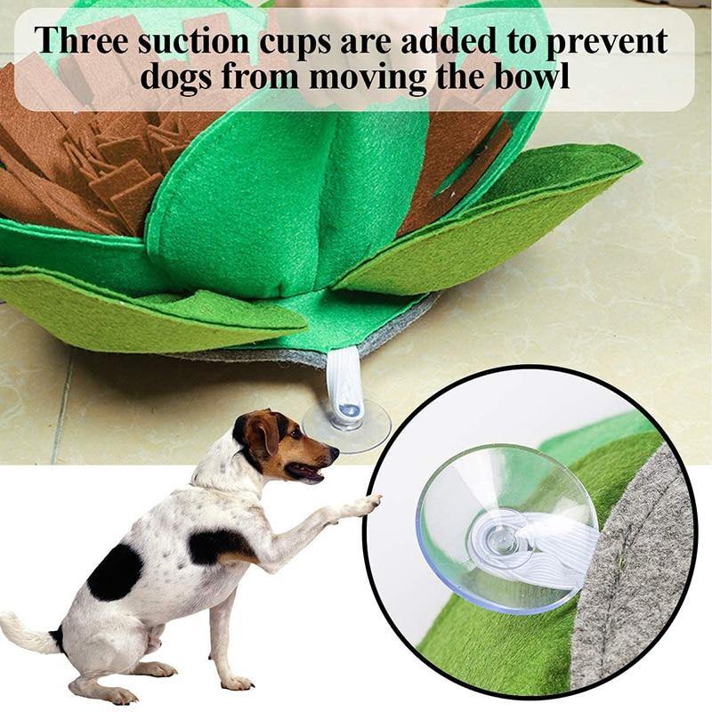 Creative Dog Maze Snuffle Mat - Bark ‘n’ Paws
