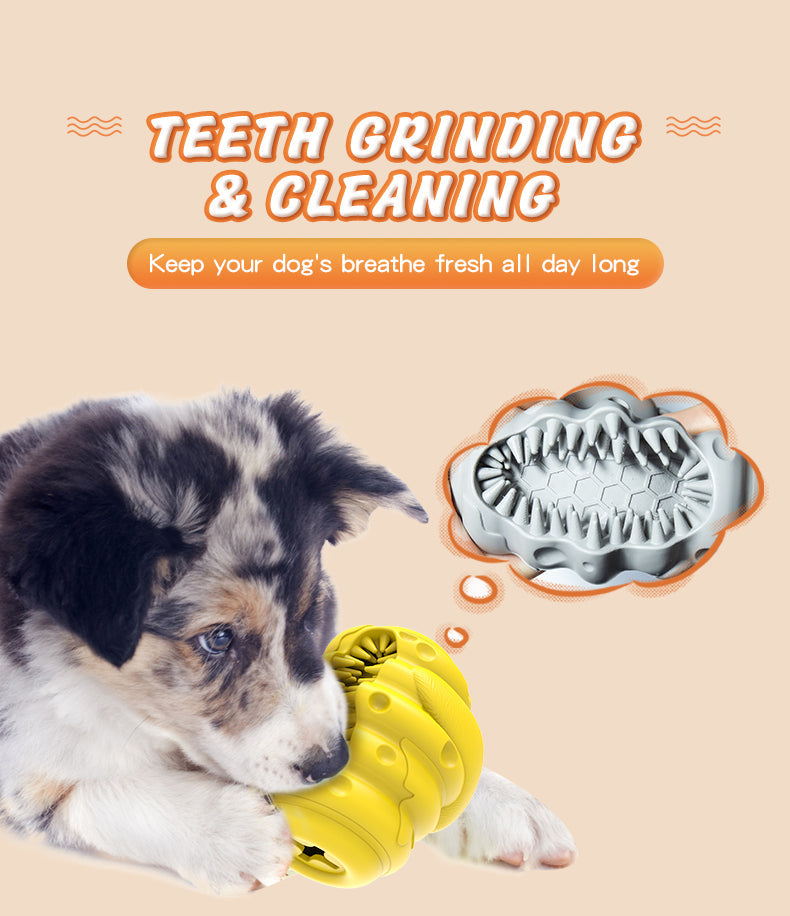 Indestructible Honeycomb Dog Chew Toy