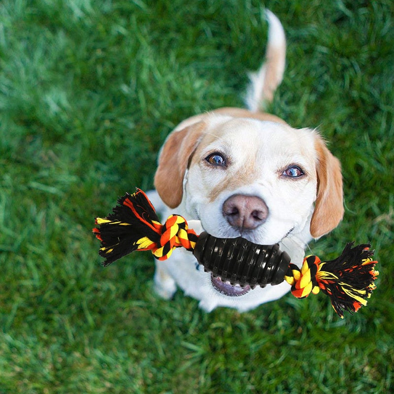 Durable Dog Tug Of War Toy