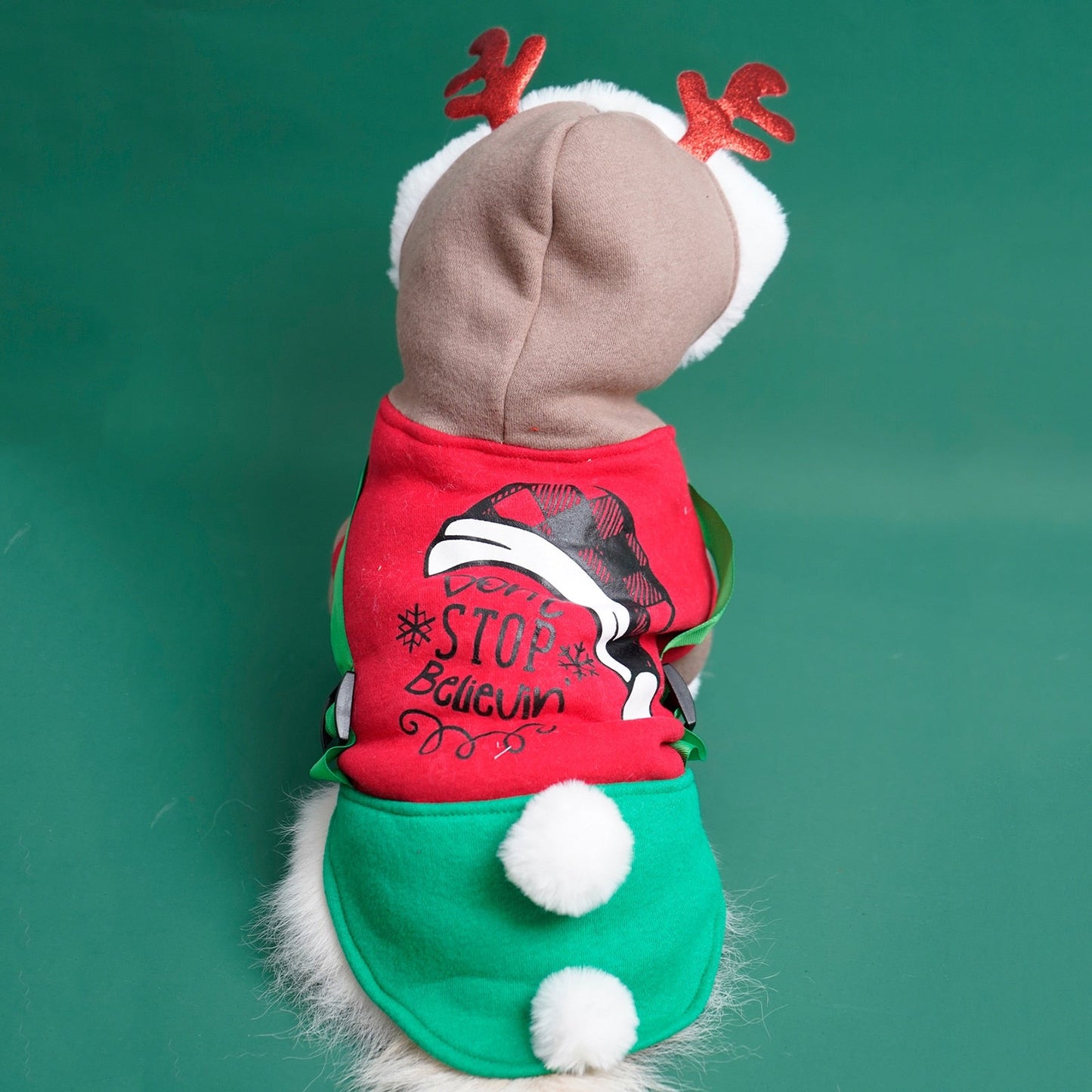 Christmas Santa Pet Fleece Costume