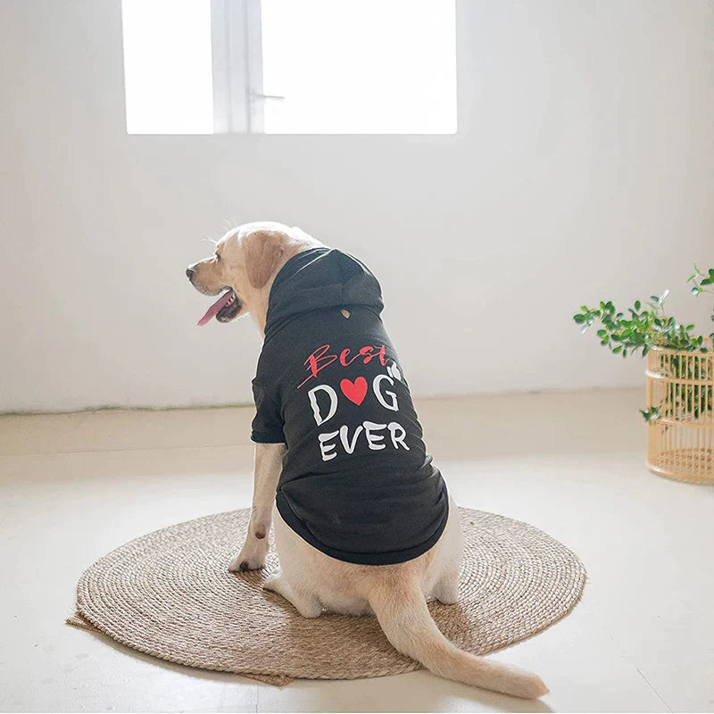 Stylish Fashion Print Dog Hoodie