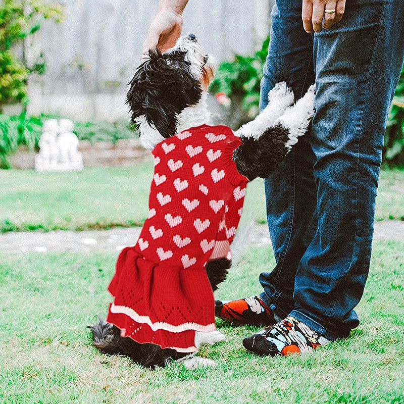 Cute Heart Puppy Knitted Dress